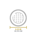 Cast Iron Lid
